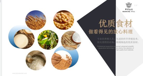 零经验也可带入行！“早安山丘”为餐饮品牌树立崭新发展标杆